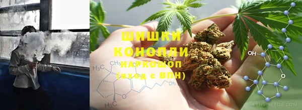 гашик Алзамай